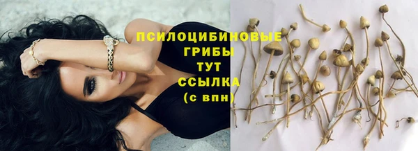 скорость Алексин