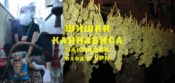 шишки Алексеевка