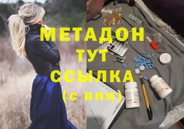 гидра Карпинск