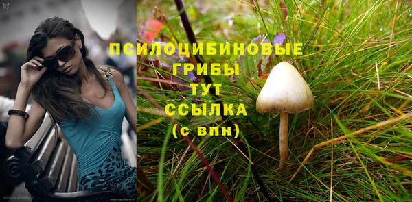 шишки Алексеевка