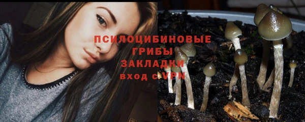 шишки Алексеевка