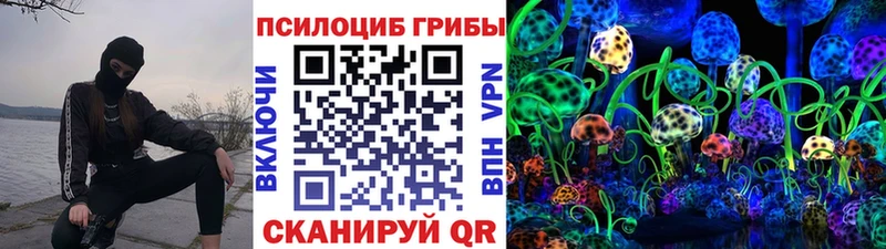 Псилоцибиновые грибы Cubensis  Таруса 
